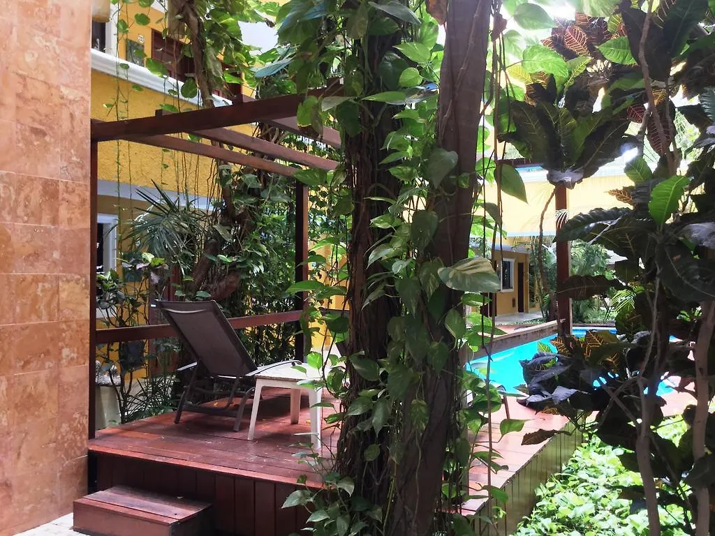 Hotel Las Golondrinas Playa del Carmen